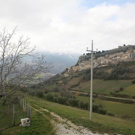 تْشيفيتيلاّ ديل ترونتو B&B La Collina Degli Ulivi المظهر الخارجي الصورة