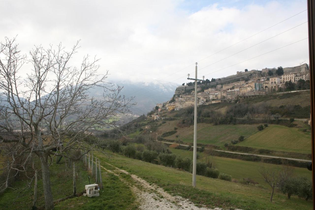 تْشيفيتيلاّ ديل ترونتو B&B La Collina Degli Ulivi المظهر الخارجي الصورة